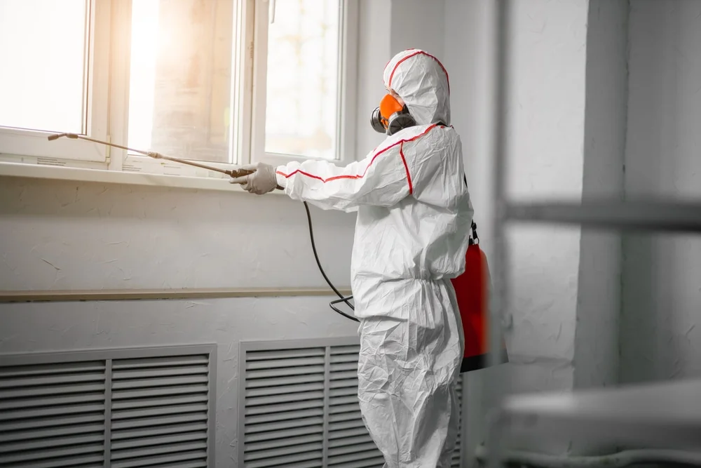 Professional mold remediation services in Benton, AR
